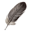 Floating feather